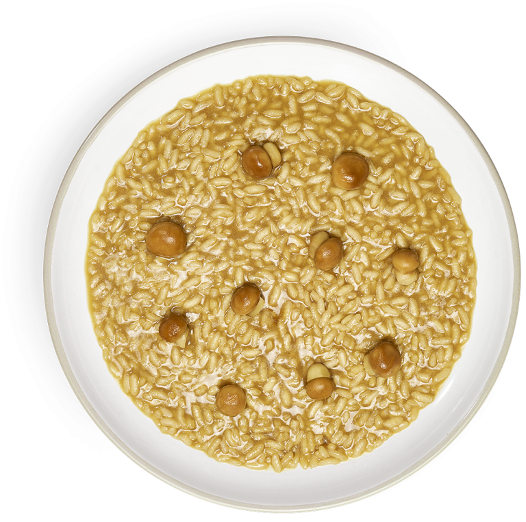 RISOTTO_FUNGHI